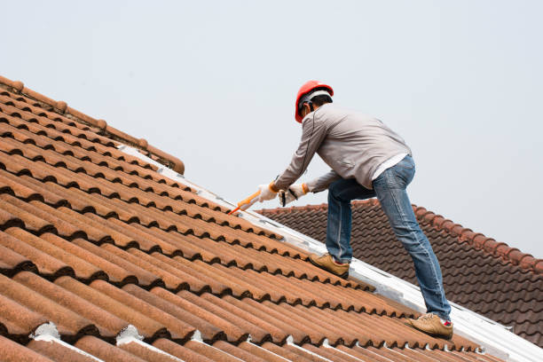 Professional  Roofing repair and installation in Greenwood, AR